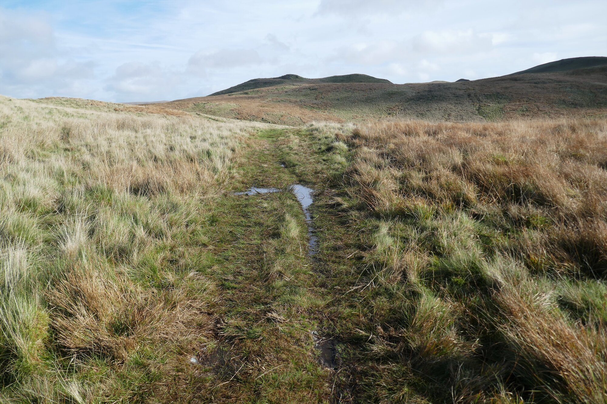 RachelSeabrook.net | Wild Walking | Teifi Pools | pic12